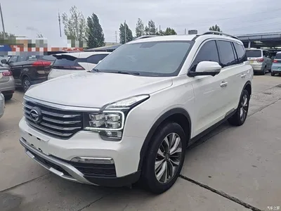 2017 GAC Trumpchi Trumpchi GS8 320T 2WD Luxury Smart Connect (7-seater), фото 1, лот 10421613