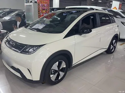2023 BYD Dolphin 420km Fashion Edition, фото 1, лот 11582390