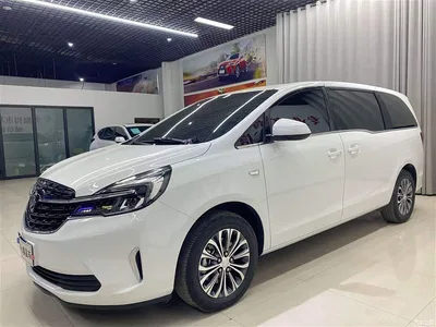 2020 Buick GL8 Model Land Business Class 652T Comfort, фото 1, лот 10257534