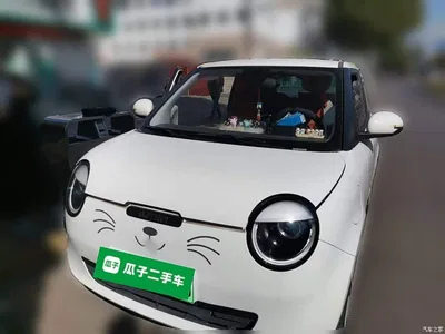 2022 Changan Qiyuan Changan Lumin 155km Fresh Edition, фото 1, лот 11448859