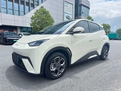 2024 BYD Seagull Glory Edition 305km Vitality Edition, фото 1, лот 10256729