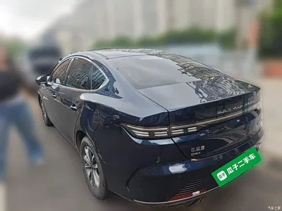2024 BYD Destroyer 05 Glory Edition DM-i 55KM Luxury, фото 4, лот 10435240
