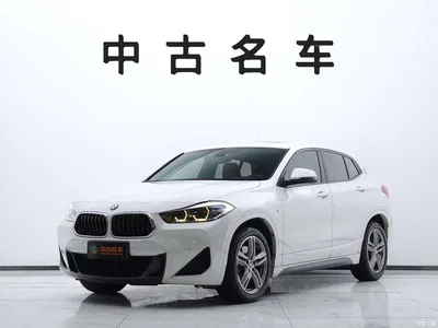 2020 BMW X2 sDrive25i Leading M Sport Package, фото 1, лот 10237477