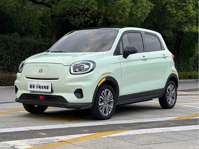 2024 Leapmotor T03 403 Comfort Edition, фото 1, лот 10479063