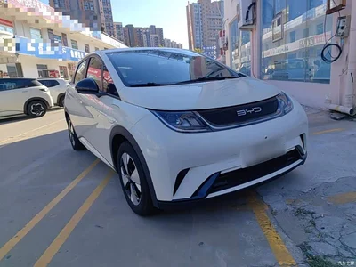 2023 BYD Dolphin 420km Freedom Edition, фото 4, лот 11545461