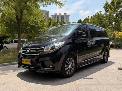 2018 SAIC Maxus Maxus G10 PLUS 2.0T Automatic Luxury Executive Edition, фото 1, лот 11160667