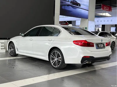 2020 BMW 5 Series 530Li Leading M Sport Package, фото 4, лот 11196825