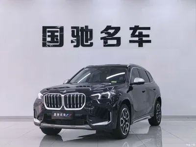 2023 BMW X1 sDrive25Li X Design Package, фото 1, лот 10430239