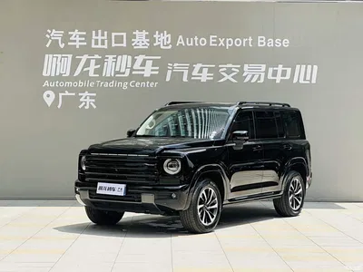 2024 Haval H9 2.0T Gasoline AWD Extreme Edition, фото 1, лот 10296603