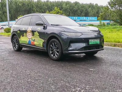 2023 Leapmotor C11 Pure Electric 500 Smart Edition, фото 3, лот 10317047