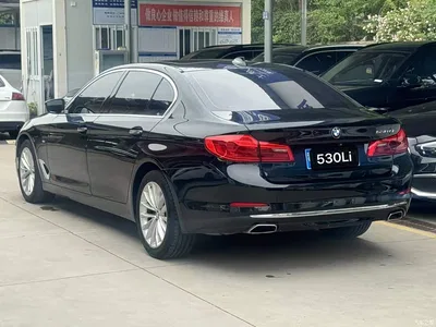 2018 BMW 5 Series Facelift 530Li Leading Luxury Package, фото 3, лот 11204737