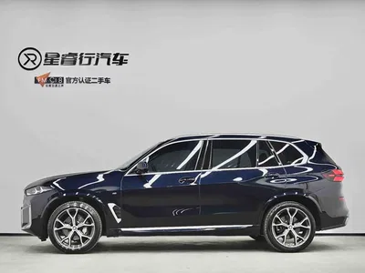 2023 BMW X5 xDrive 30Li Premium M Sport Black Night Package, фото 4, лот 10423458