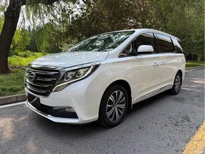 2018 GAC Trumpchi Trumpchi M8 320T Premium Edition, фото 1, лот 10417366