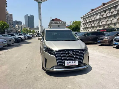 2021 Buick GL8 ES Landlord 653T Comfort, фото 3, лот 10254980
