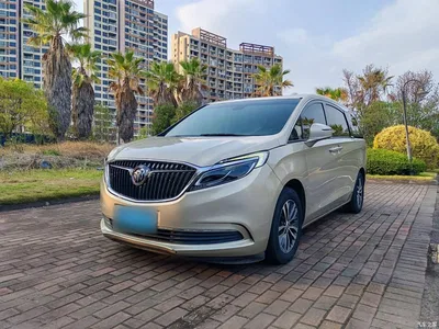2017 Buick GL8 ES 28T Luxury China V, фото 2, лот 10257939