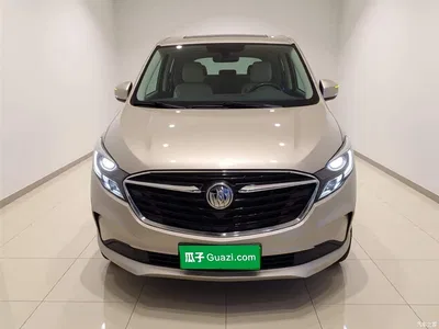 2021 Buick GL8 ES Landlord 653T Comfort, фото 3, лот 10262370