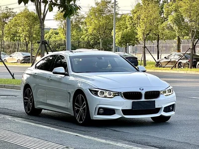 2019 BMW 4 Series 425i Gran Coupe M Sport Package, фото 4, лот 10890308