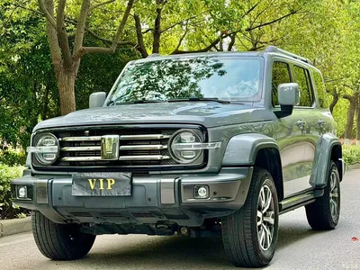 2023 Tank 300 Urban Edition 2.0T Must-Have Type, фото 1, лот 10344571