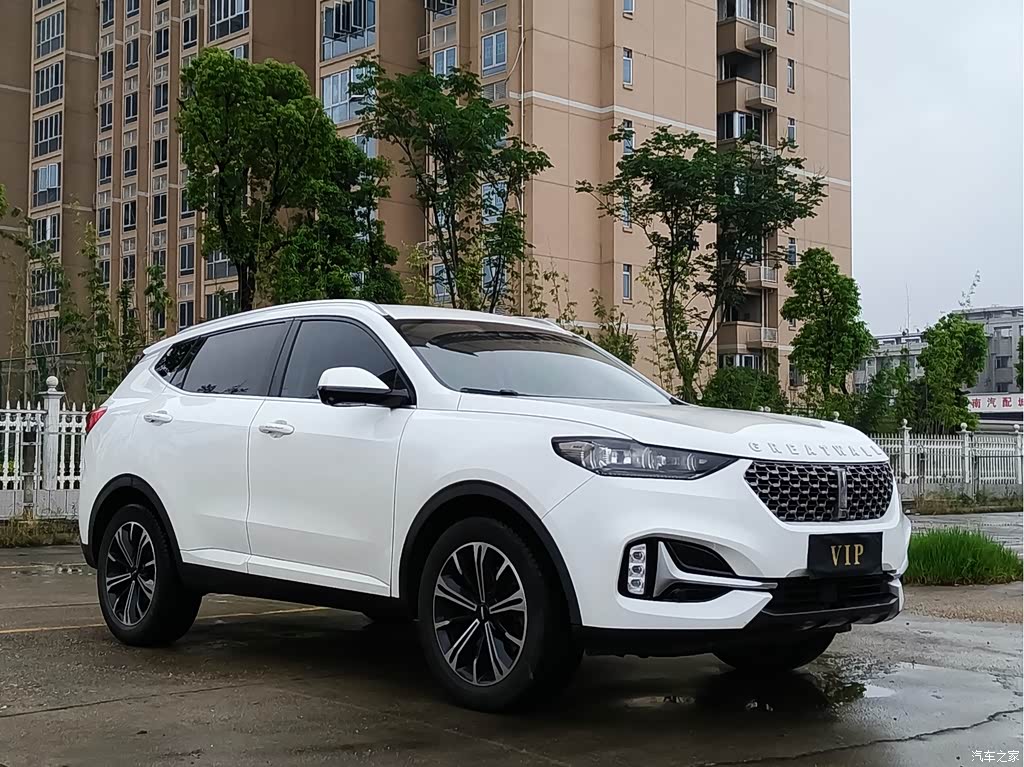 2021 WEY VV6 2.0T 2WD Smart Protection+, фото 3, лот 10452162