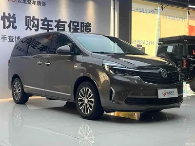 2022 Buick GL8 Land Business Class 652T Luxury, фото 4, лот 11067468