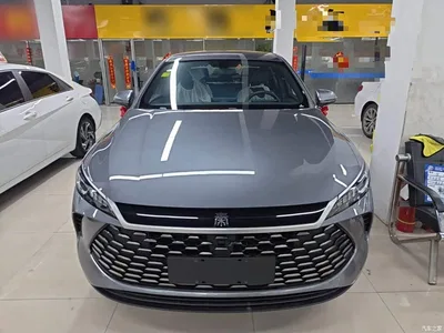 2026 BYD Qin PLUS DM-i Smart Edition 128KM Progressive, фото 3, лот 10362702