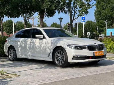 2018 BMW 5 Series 528Li Launch Special Edition, фото 3, лот 10598723