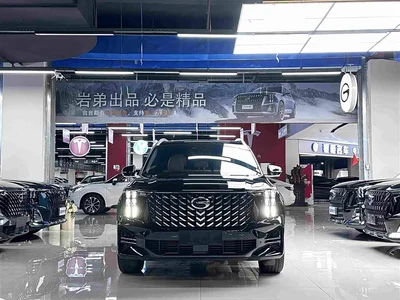 2025 GAC Trumpchi Trumpchi GS8 Pilot Series 2.0TGDI 2WD Luxury Edition 5-seater, фото 4, лот 10418593