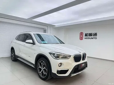 2018 BMW X1 New Energy xDrive25Le Luxury Model, фото 3, лот 10427969