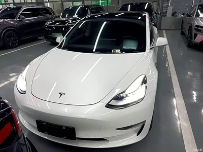 2019 Tesla Model 3 (Import) Long Range RWD Version, фото 3, лот 10375863