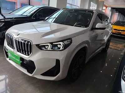 2023 BMW X1 sDrive25Li M Sport Package, фото 2, лот 10467252
