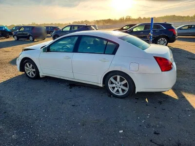 2004 NISSAN MAXIMA 3.5 SE, фото 2, лот 10979500