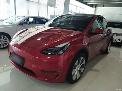 2022 Tesla Model Y Rear-Wheel Drive Version, фото 2, лот 10369824