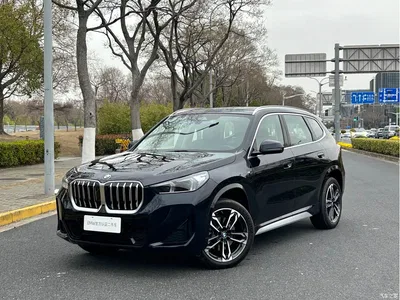 2025 BMW X1 sDrive25Li M Sport Package, фото 1, лот 10472682
