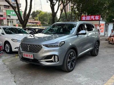 2021 WEY VV6 2.0T 2WD Smart Protection+, фото 1, лот 10451785