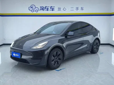 2024 Tesla Model Y Rear-Wheel Drive Version, фото 1, лот 11570244