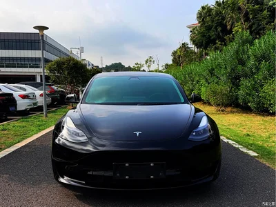 2021 Tesla Model 3 Standard Range Rear-Wheel Drive Upgrade, фото 2, лот 11177692