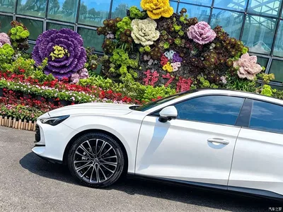 2025 MG MG7 1.5T 300 DCT Luxury Edition, фото 4, лот 11190733