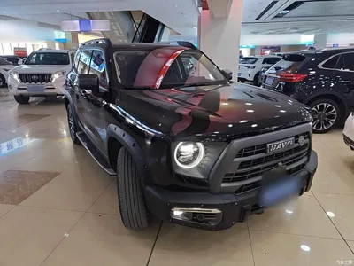 2022 Haval Big Dog 1.5T DCT 2WD Malinois Hunting Edition, фото 4, лот 10361290