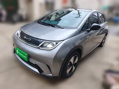 2023 BYD Dolphin 420km Fashion Edition, фото 2, лот 10264143