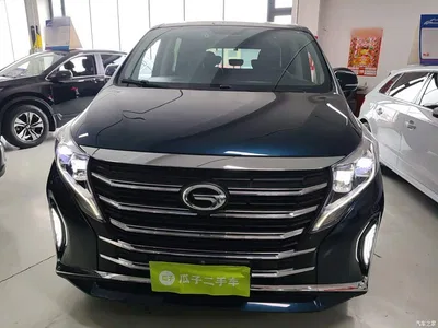 2021 GAC Trumpchi Trumpchi M8 Leading Show Series 390T Premium Edition, фото 3, лот 10424008