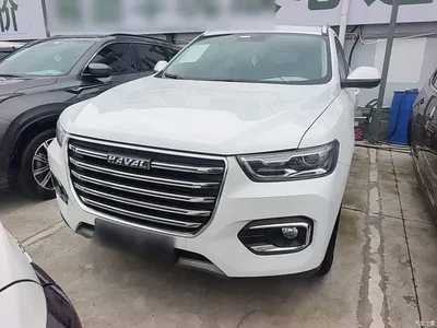 2020 Haval H6 1.5GDIT Automatic Platinum Urban Edition, фото 3, лот 10440059