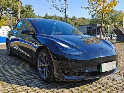 2021 Tesla Model 3 Facelift Standard Range RWD Upgrade 3D1, фото 3, лот 10352753