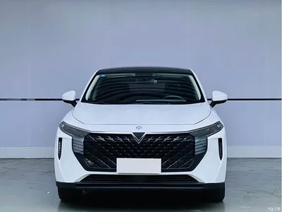2021 Venucia Big V 260T Idol Edition, фото 2, лот 11153901