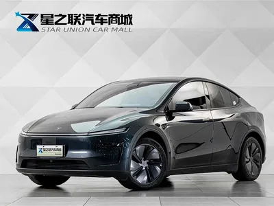 2025 Tesla Model Y Facelift Long Range All-Wheel Drive, фото 1, лот 11218540