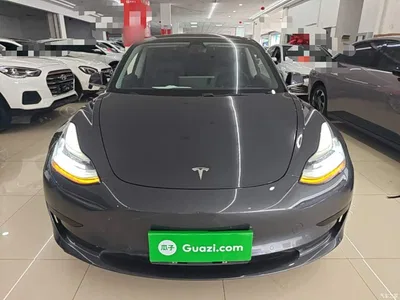 2020 Tesla Model 3 Standard Range Rear-Wheel Drive Upgrade, фото 3, лот 11386619