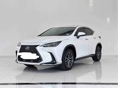 2023 Lexus NX 260 FWD Creative Travel Special Edition, фото 1, лот 10317323