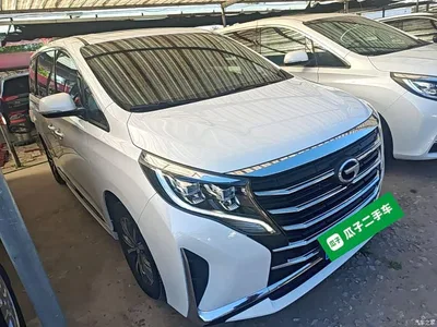 2021 GAC Trumpchi Trumpchi M8 Leading Show Series 390T Premium Edition, фото 4, лот 11580412