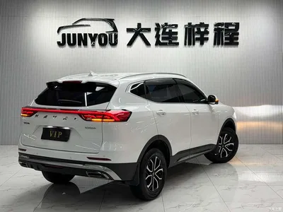 2023 Haval H6 National Trend Edition 1.5T Automatic Urban, фото 4, лот 10282273