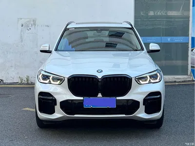 2022 BMW X5 Facelift xDrive 30Li Premium M Sport Package, фото 2, лот 10385348