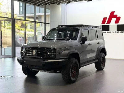 2023 Tank 300 Off-Road Edition 2.0T Conqueror, фото 1, лот 10450121